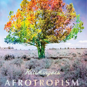 Image: The KutiMangoes