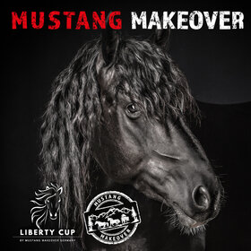 Image Event: Mustang Makeover