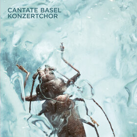Image: Cantate Basel Konzertchor