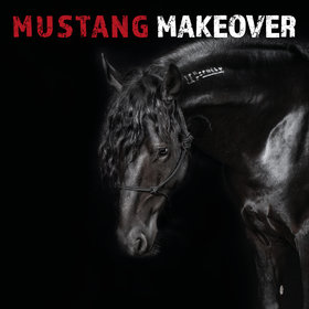 Image: Mustang Makeover