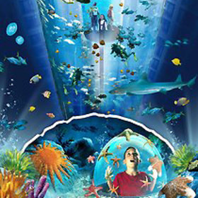 AquaDom & SEA LIFE Berlin Tickets - alle Termine auf einen Blick