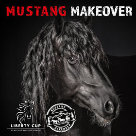 Image: Mustang Makeover
