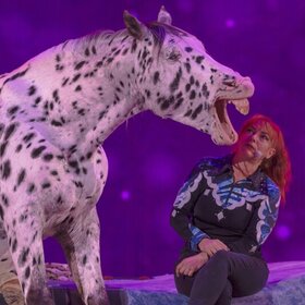 Image: Elmar Kretz Ravensburger Weihnachtscircus