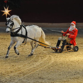 Image: Neustädter Weihnachtsgala