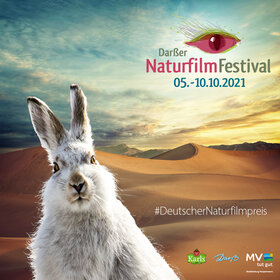 Image: Darßer NaturfilmFestival