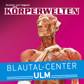 Image: KÖRPERWELTEN Ulm - Eine HERZenssache