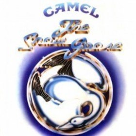 Image: Camel