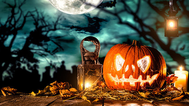 Halloween-Revue: Die sieben Kellerkinder® Halloween-Revue: Die sieben Kellerkinder®