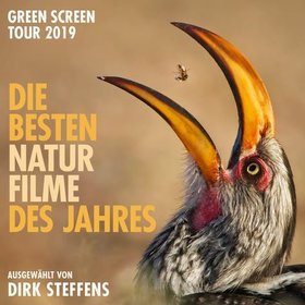 Image: Die besten Naturfilme des Jahres