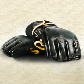 Image: Mixed Martial Arts (MMA) - Event Series