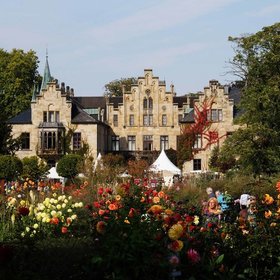 Image: Großes Ippenburger Herbstfestival