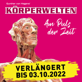 Image: KÖRPERWELTEN Dresden