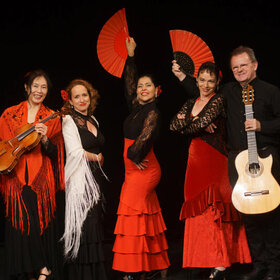 Image: Flamenco Vivo