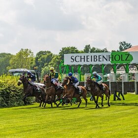Image: Renntage auf der Galopprennbahn Scheibenholz