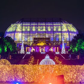 Image: Christmas Garden Berlin