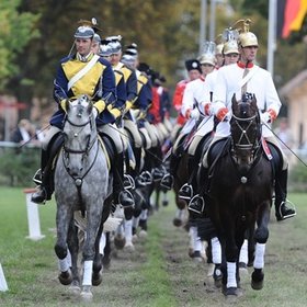 Image: Neustädter Hengstparade