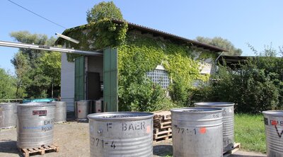 Traubenannahmestelle WG Bischoffingen-Endingen