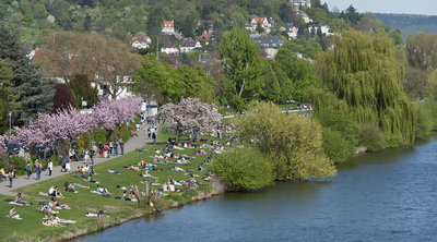 Neckarwiese Heidelberg