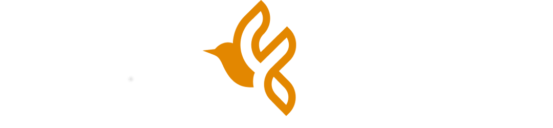 Website Logo