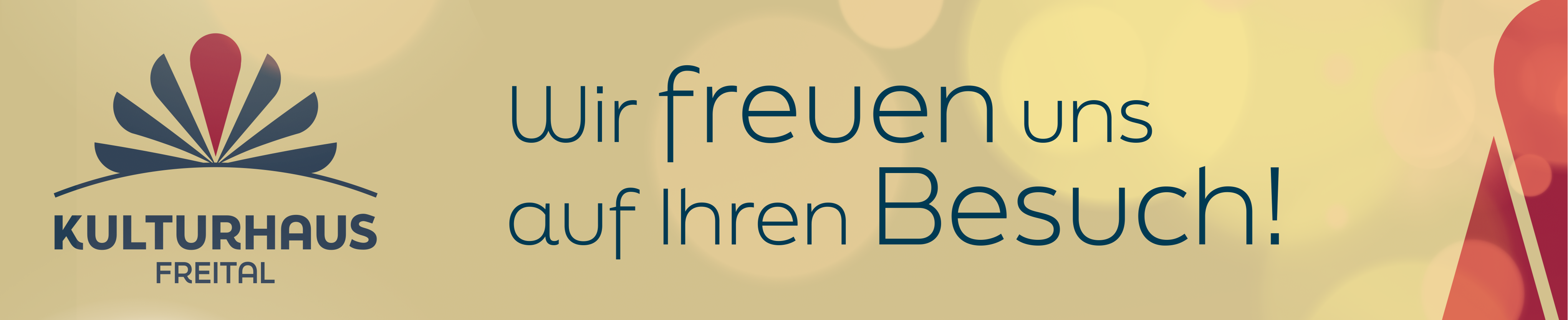 Website Logo